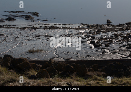 Thames river bed at low tide, water patterns, green moss 